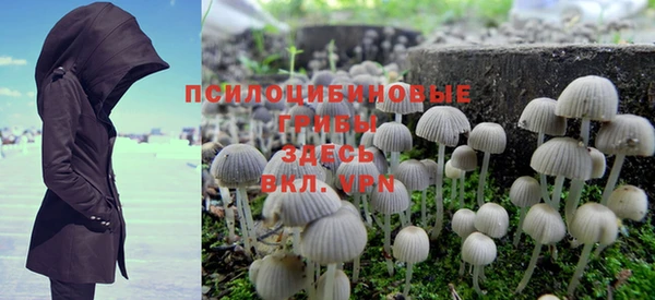 spice Бронницы
