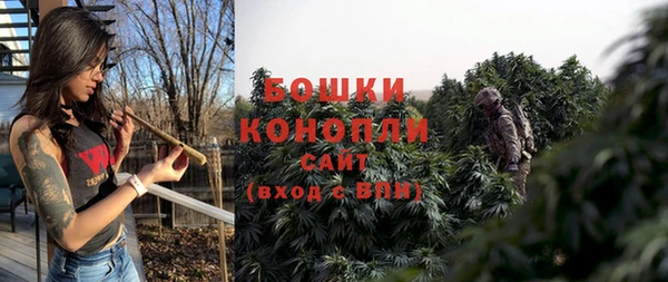 spice Бронницы