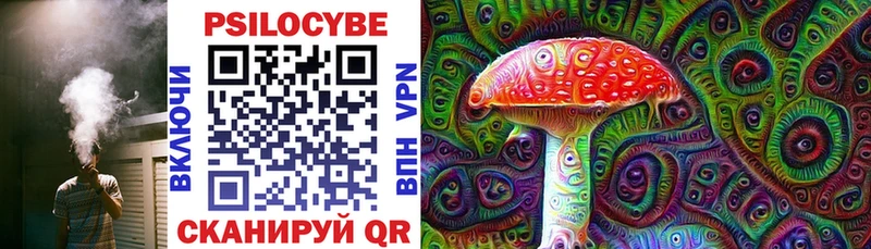 Псилоцибиновые грибы MAGIC MUSHROOMS  где купить   мориарти наркотические препараты  Камышлов 